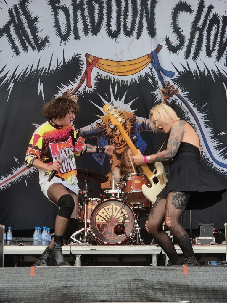 The Baboon Show live