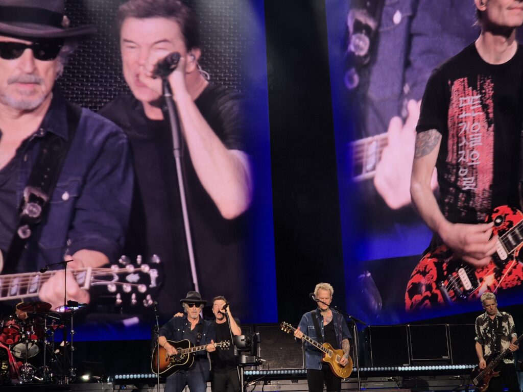 Die Toten Hosen live