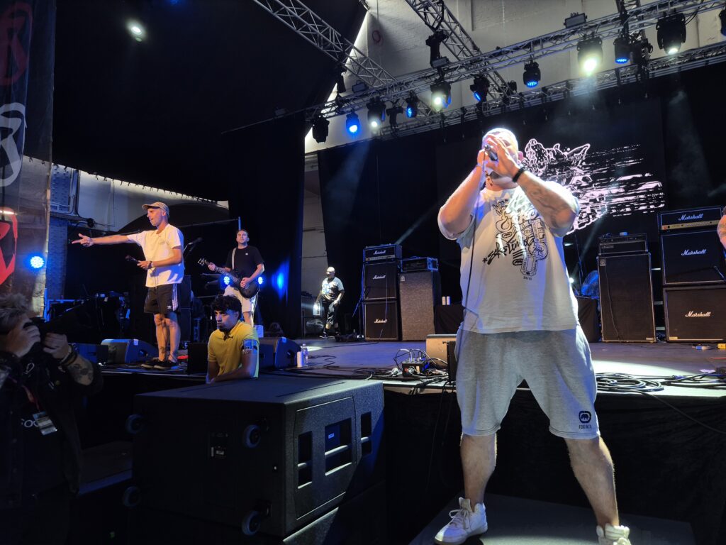 Dog Rotten live