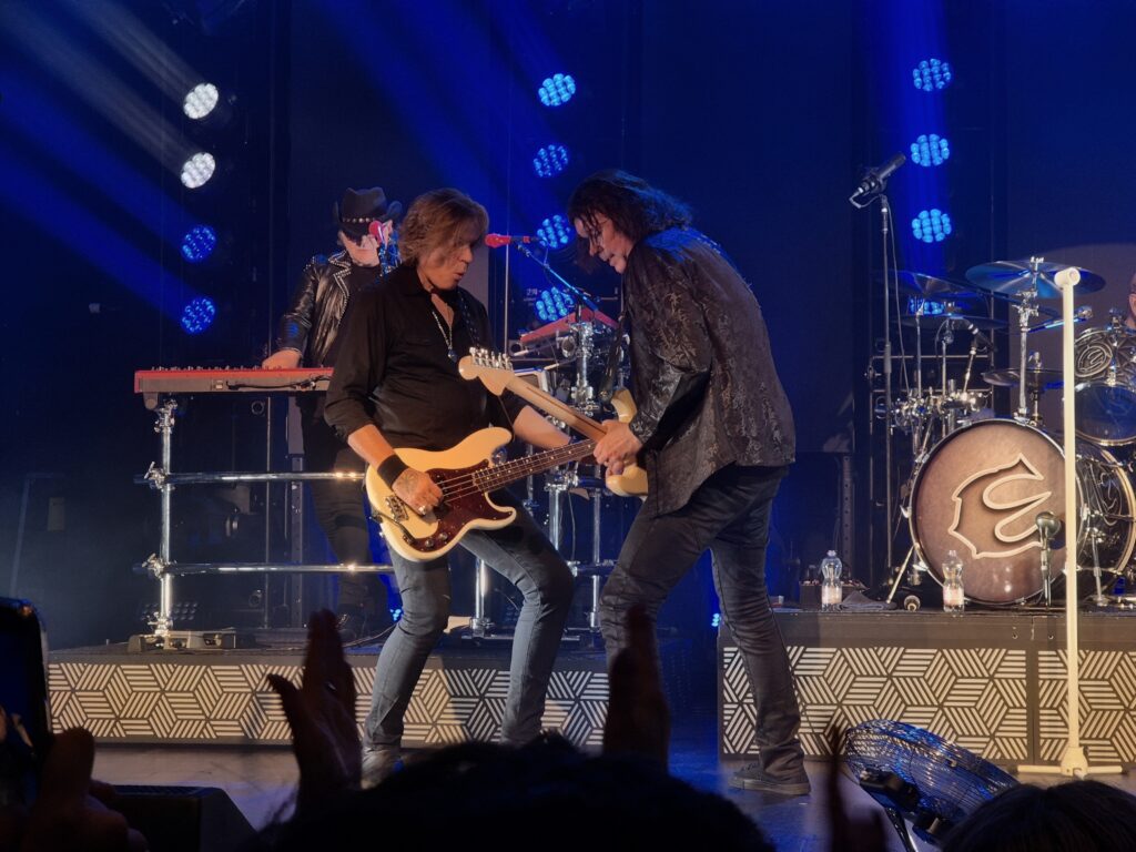 Europe live